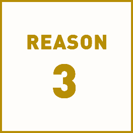 reason 3