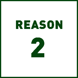 reason 2