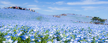 茨城県