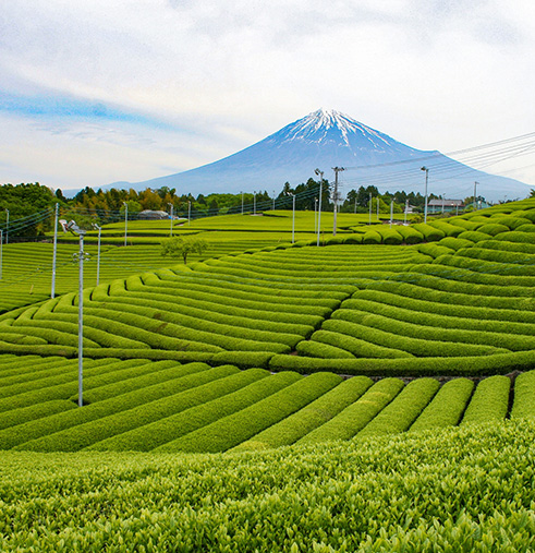 静岡県