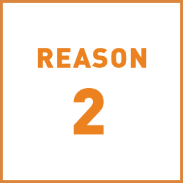 reason 2