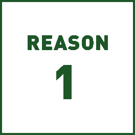 reason 1