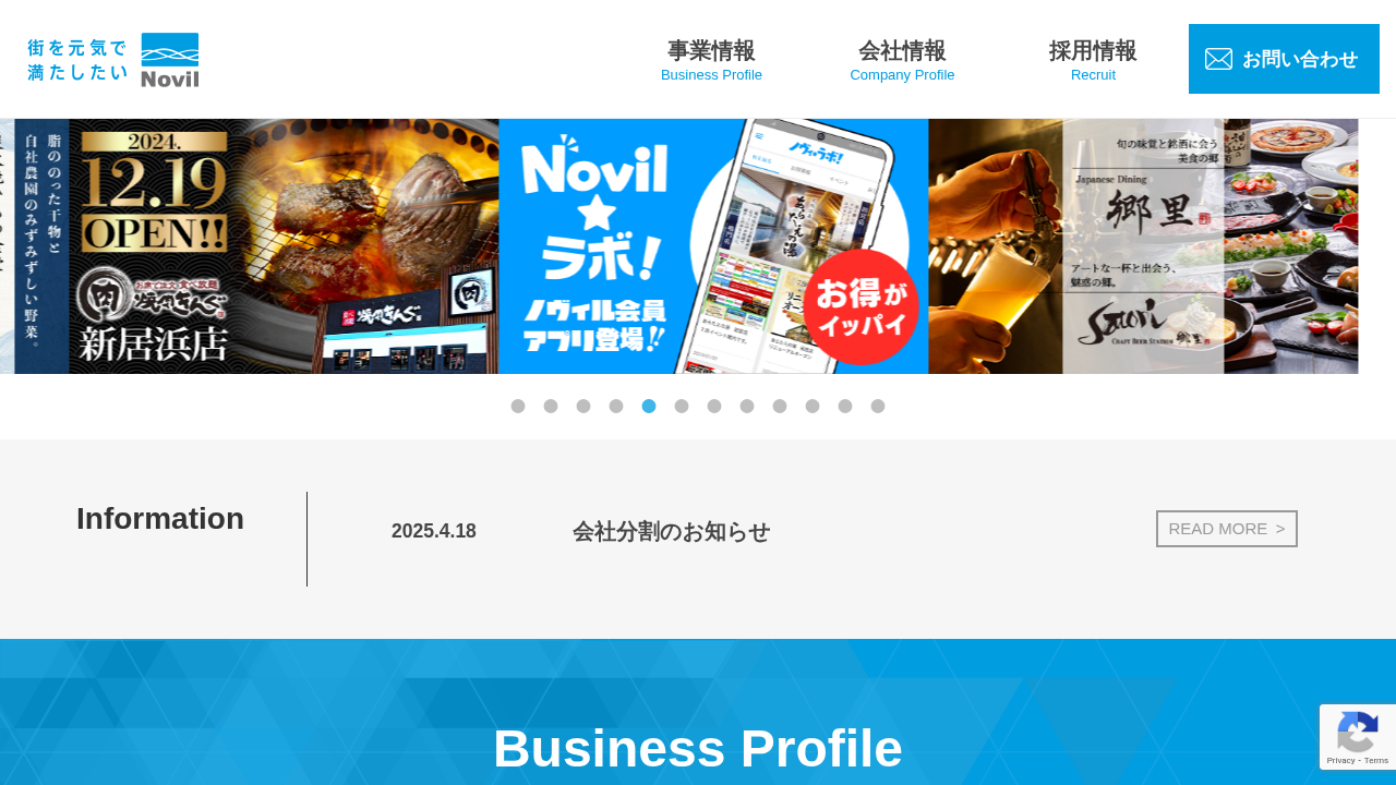 ノヴィルホールディングス株式会社