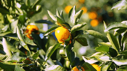 和歌山県の転職 求人情報 地方特化の転職エージェントならhurex ヒューレックス