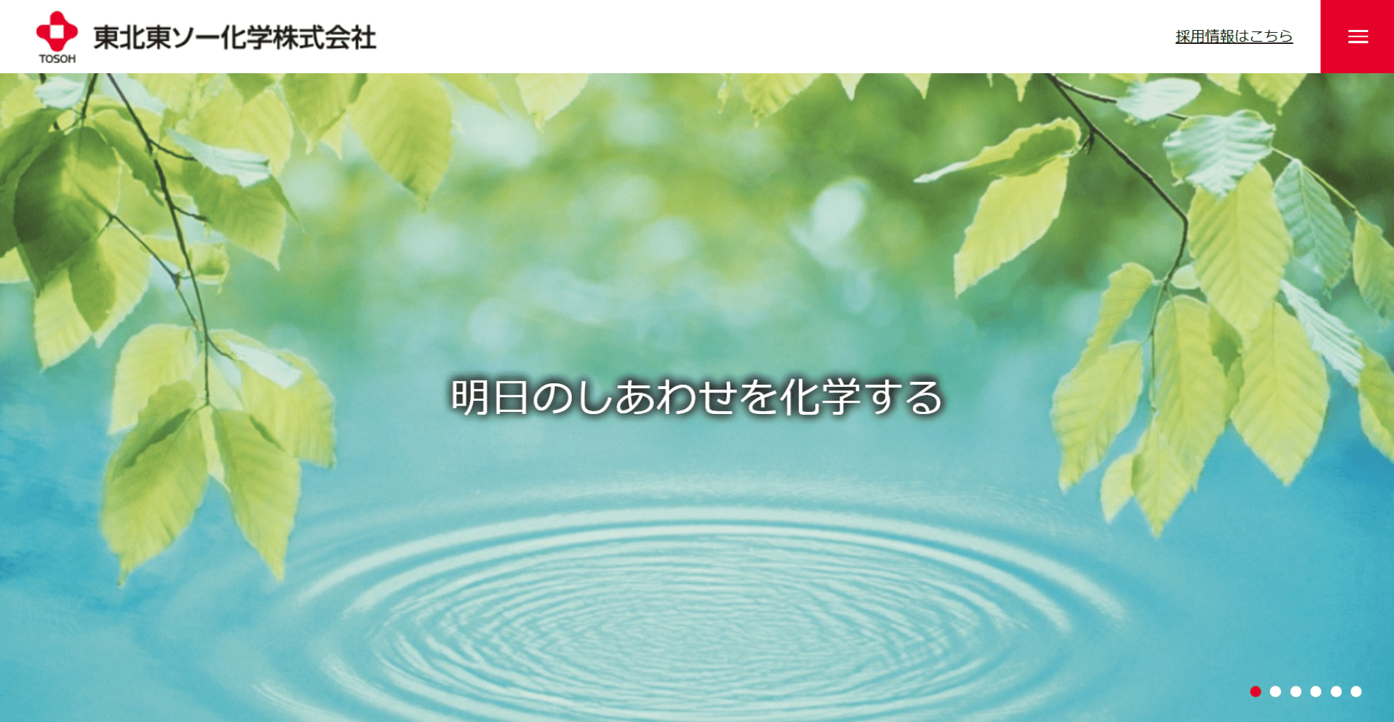 東北東ソー化学株式会社