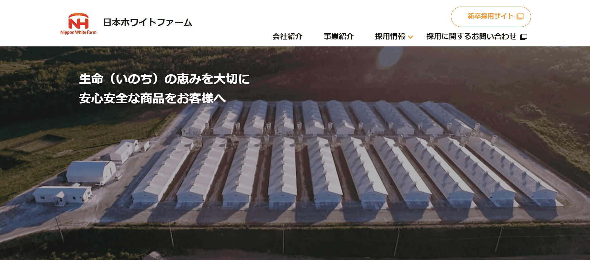 日本ホワイトファーム株式会社